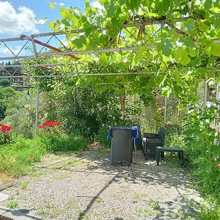 House Between Florence And Pisa * 佩夏