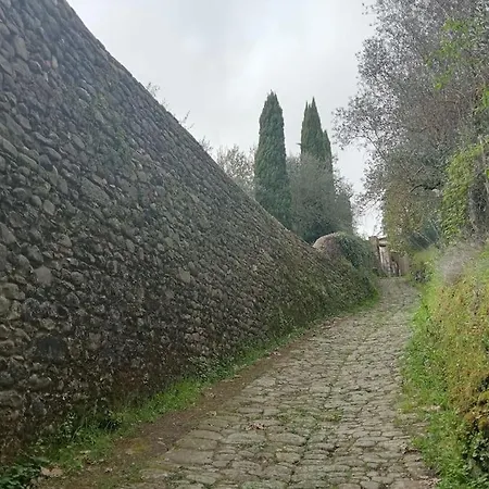 House Between Florence And Pisa