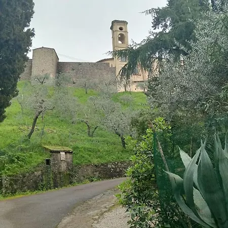 House Between Florence And Pisa * 佩夏