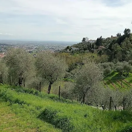 House Between Florence And Pisa 度假居 佩夏